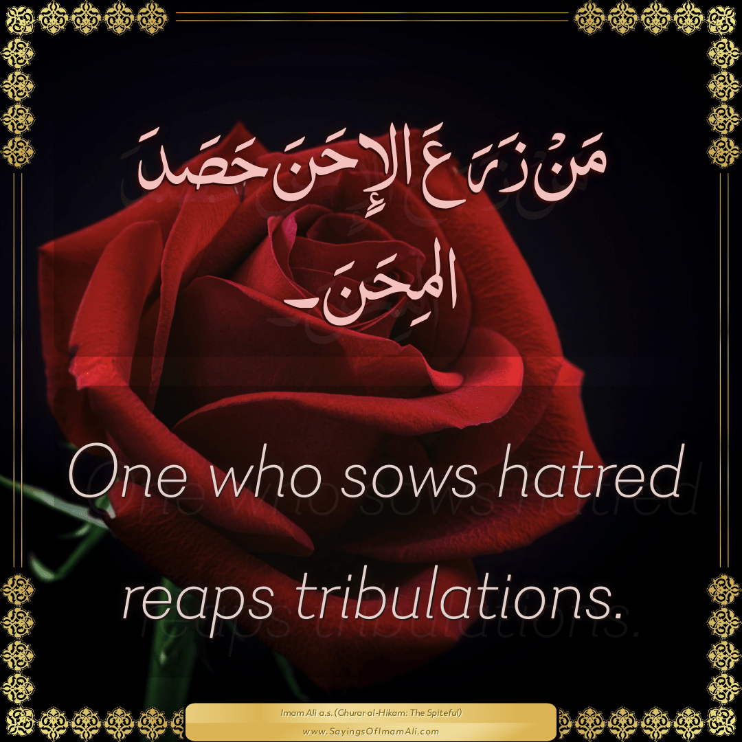 One who sows hatred reaps tribulations.